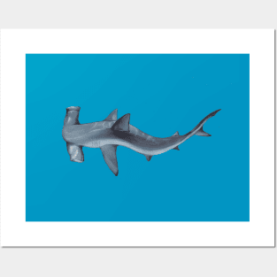 Hammerhead Shark Posters and Art